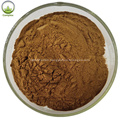 Herbal Extract Ashwagandha Root Powder